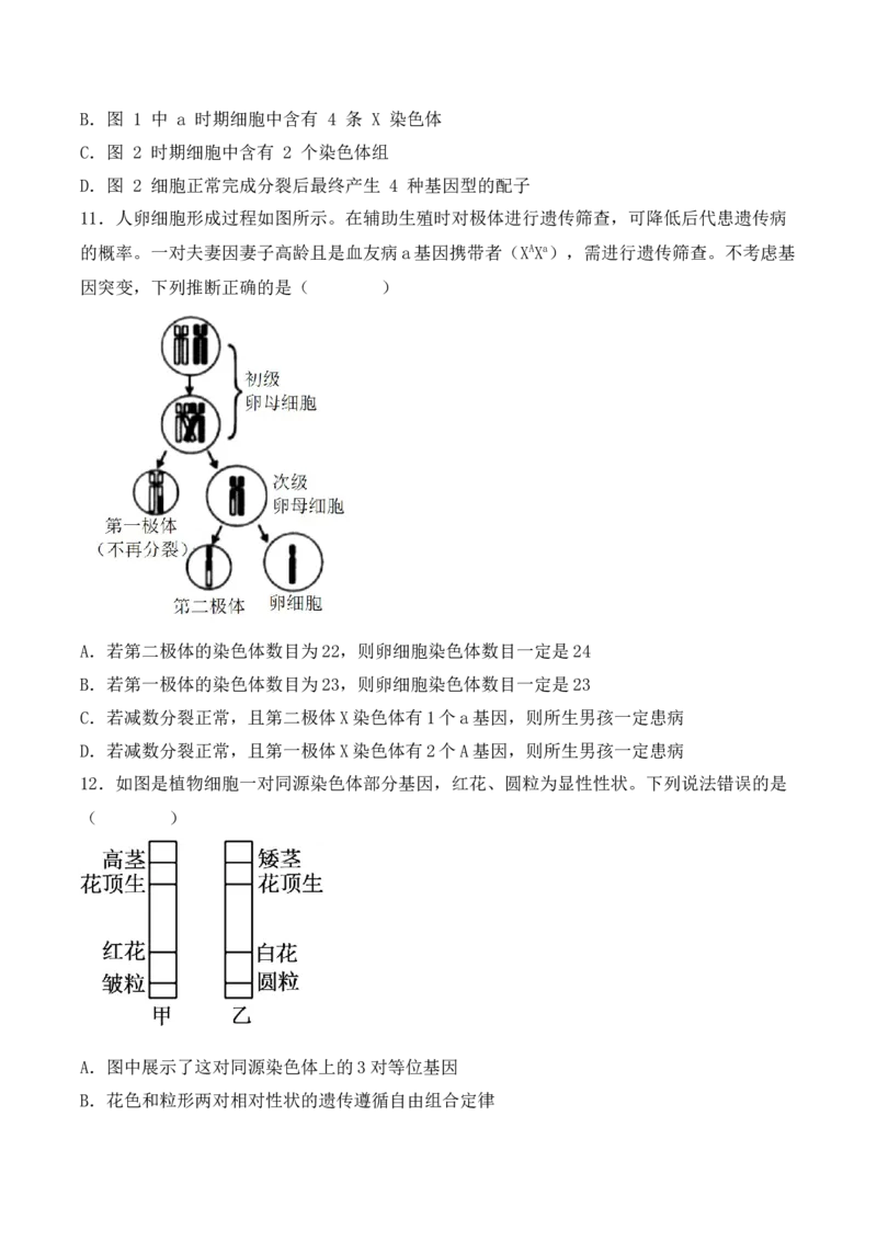 期中检测卷02（提升练）（考试范围：第1~3章）（原卷版）_高中九科知识点归纳。_人教版高中Word电子版试卷练习试题知识点全科_高中生物试卷习题_生物必修_必修2