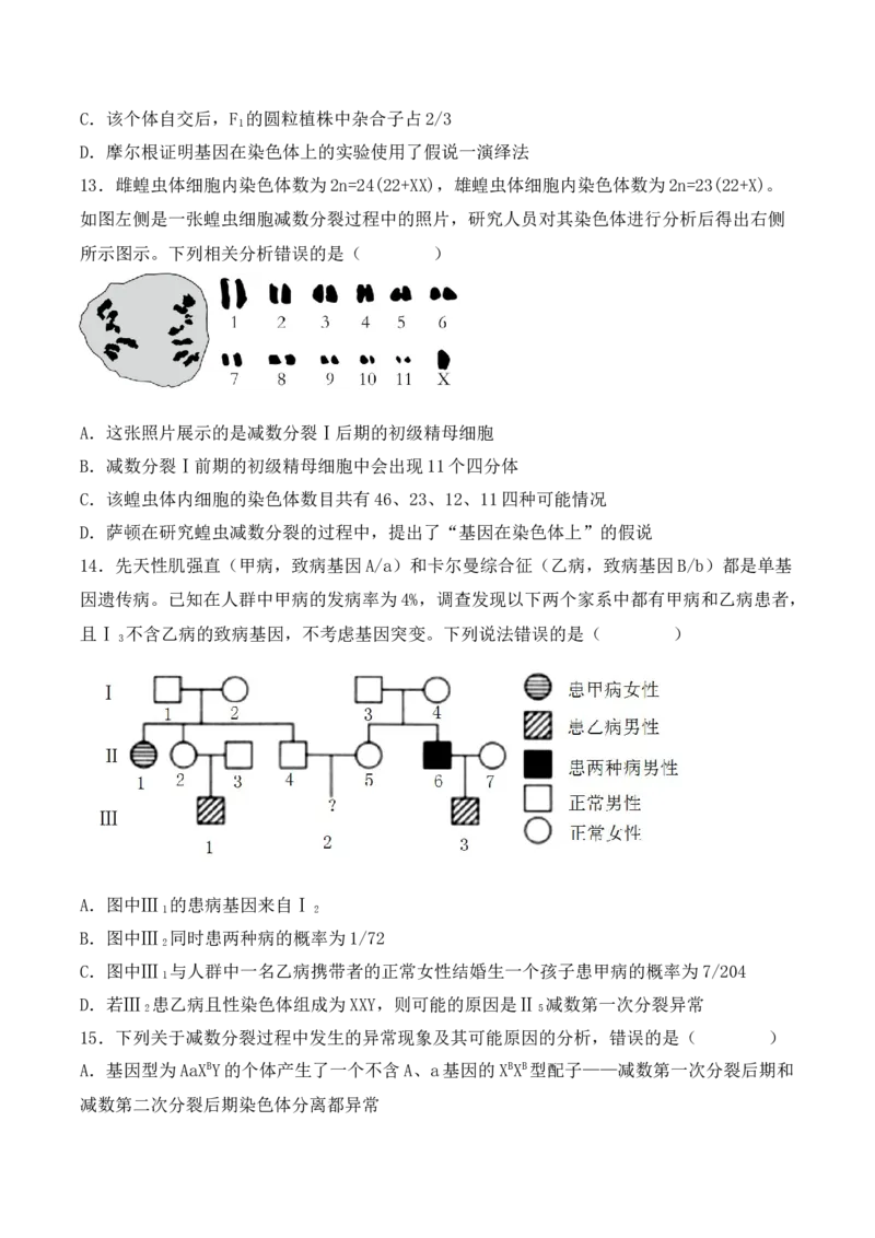 期中检测卷02（提升练）（考试范围：第1~3章）（原卷版）_高中九科知识点归纳。_人教版高中Word电子版试卷练习试题知识点全科_高中生物试卷习题_生物必修_必修2