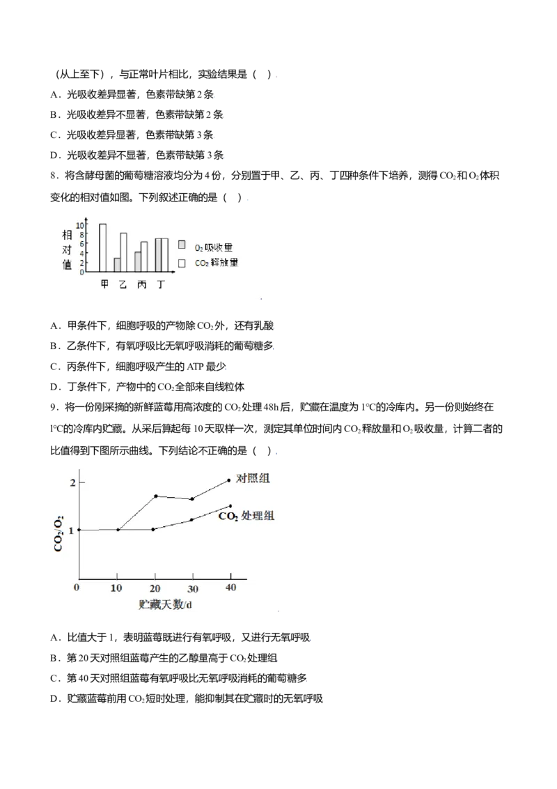 第五章章末测试-高一生物课后培优练（人教版2019必修1）（原卷版）_高中九科知识点归纳。_人教版高中Word电子版试卷练习试题知识点全科_高中生物试卷习题_生物必修_必修1