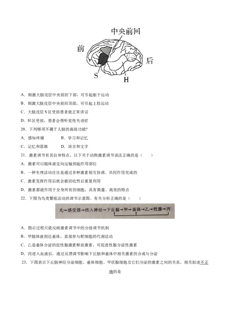 高二生物上学期期中测试卷02（人教版2019选择性必修1）（原卷版）_高中九科知识点归纳。_人教版高中Word电子版试卷练习试题知识点全科_高中生物试卷习题_生物选修_选修1