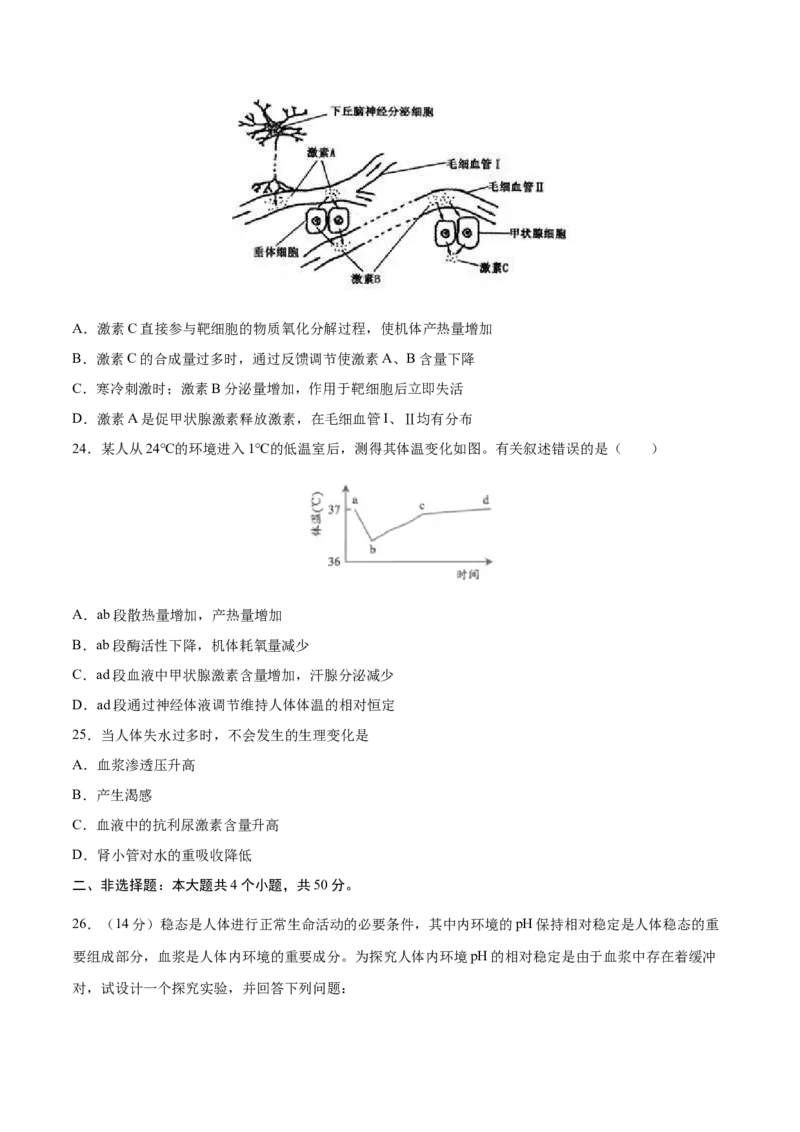高二生物上学期期中测试卷02（人教版2019选择性必修1）（原卷版）_高中九科知识点归纳。_人教版高中Word电子版试卷练习试题知识点全科_高中生物试卷习题_生物选修_选修1