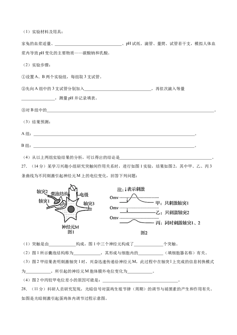高二生物上学期期中测试卷02（人教版2019选择性必修1）（原卷版）_高中九科知识点归纳。_人教版高中Word电子版试卷练习试题知识点全科_高中生物试卷习题_生物选修_选修1