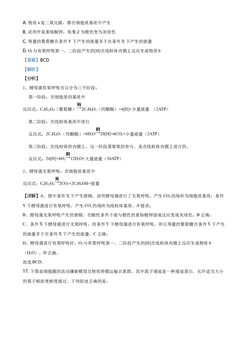精品解析：江苏省南通市高一上学期期末生物试题（新人教版）（解析版）_高中九科知识点归纳。_人教版高中Word电子版试卷练习试题知识点全科_高中生物试卷习题_生物必修_必修1