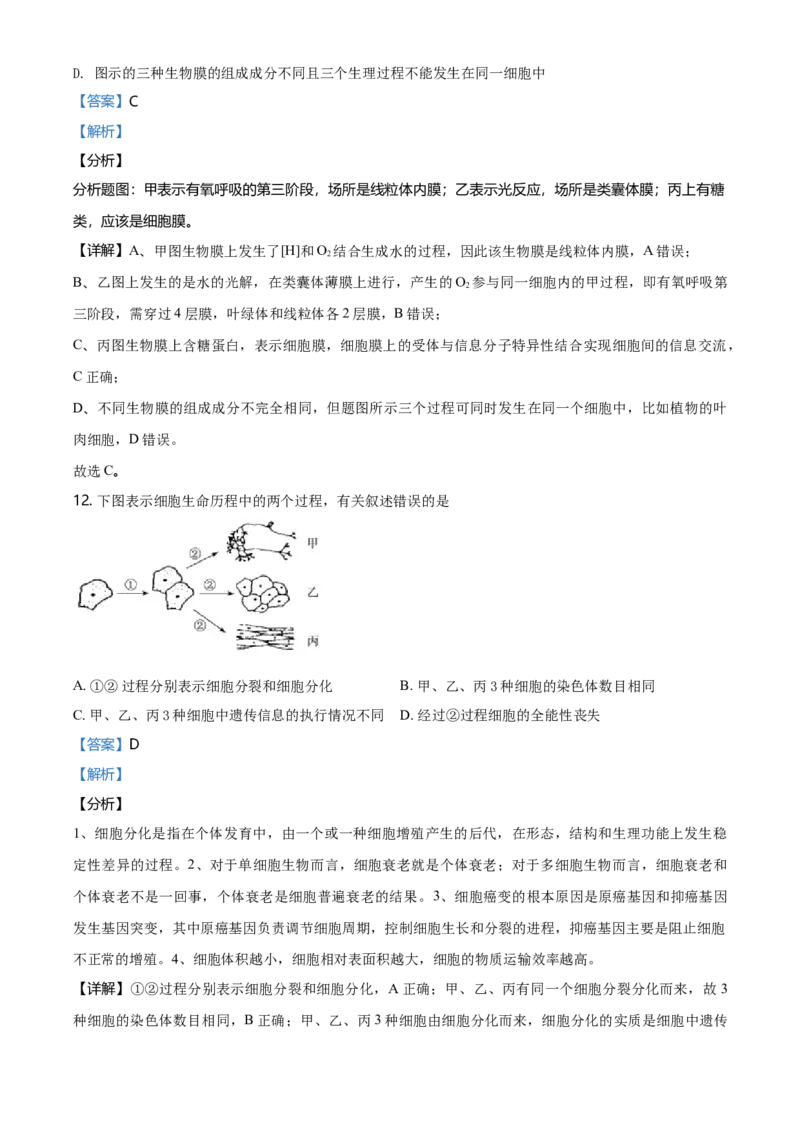 精品解析：江苏省南通市高一上学期期末生物试题（新人教版）（解析版）_高中九科知识点归纳。_人教版高中Word电子版试卷练习试题知识点全科_高中生物试卷习题_生物必修_必修1