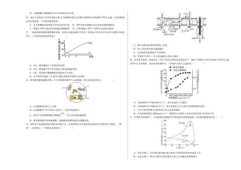 期末模拟卷02（考试版A3版）测试范围：人教版2019必修1_高中九科知识点归纳。_人教版高中Word电子版试卷练习试题知识点全科_高中生物试卷习题_生物必修_必修1