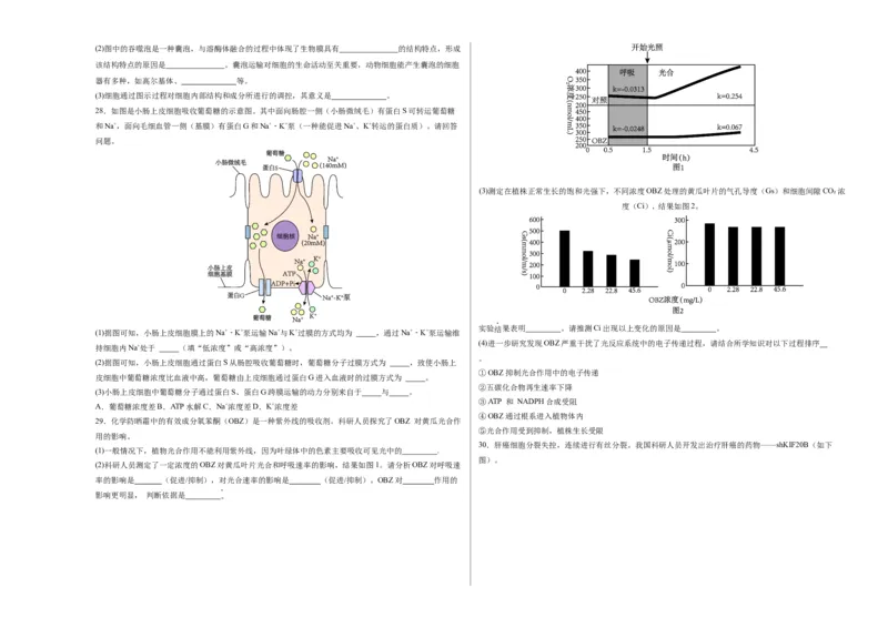 期末模拟卷02（考试版A3版）测试范围：人教版2019必修1_高中九科知识点归纳。_人教版高中Word电子版试卷练习试题知识点全科_高中生物试卷习题_生物必修_必修1