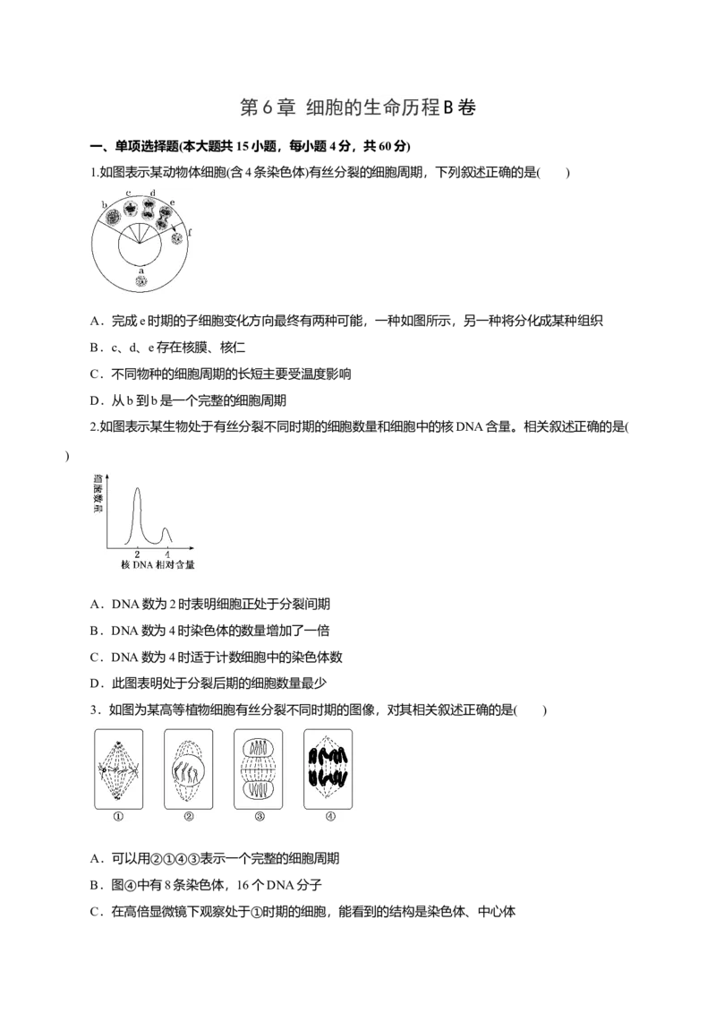 第6章细胞的生命历程B卷（原卷版）_高中九科知识点归纳。_人教版高中Word电子版试卷练习试题知识点全科_高中生物试卷习题_生物必修_必修1_人教版生物必修一单元测试（032份）
