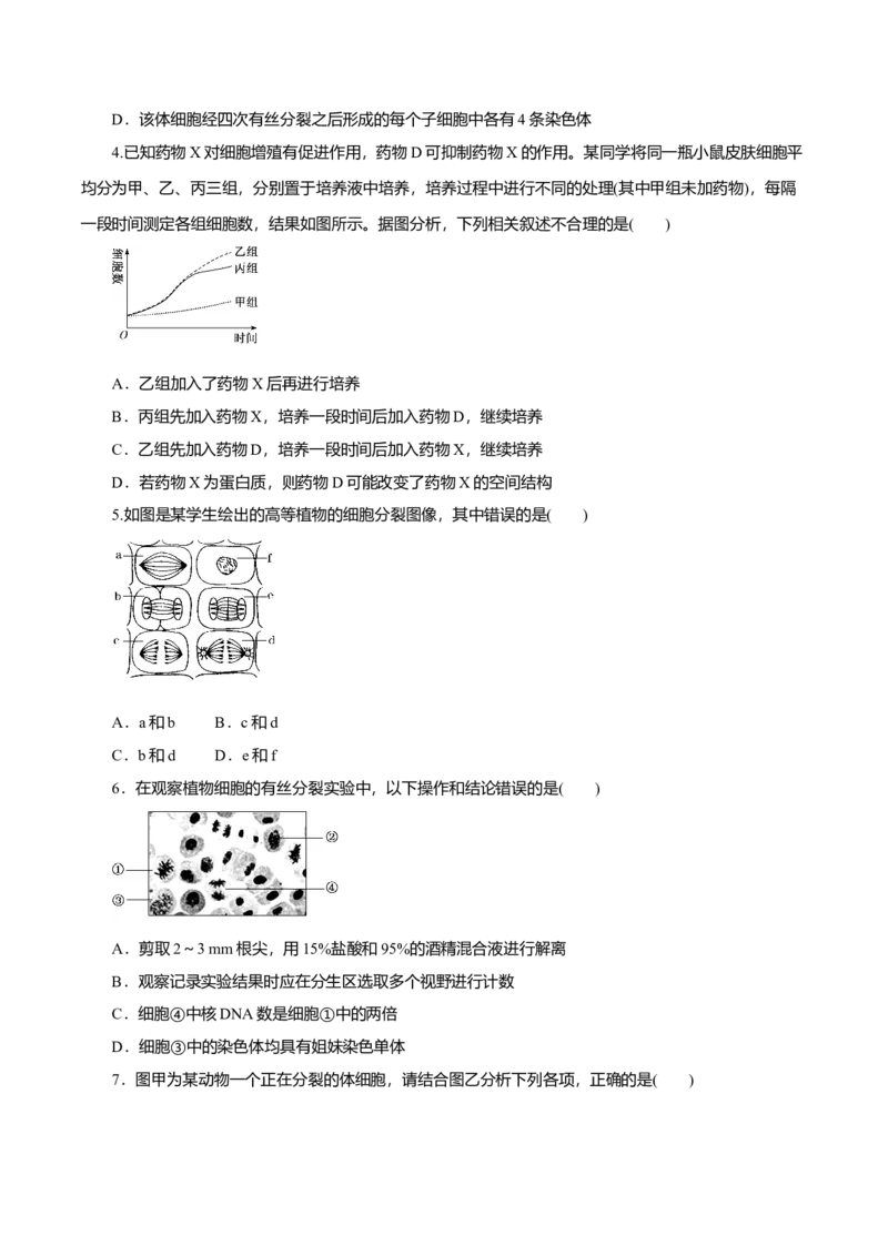 第6章细胞的生命历程B卷（原卷版）_高中九科知识点归纳。_人教版高中Word电子版试卷练习试题知识点全科_高中生物试卷习题_生物必修_必修1_人教版生物必修一单元测试（032份）