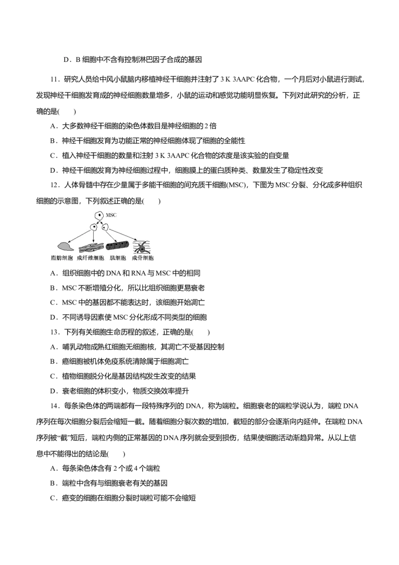 第6章细胞的生命历程B卷（原卷版）_高中九科知识点归纳。_人教版高中Word电子版试卷练习试题知识点全科_高中生物试卷习题_生物必修_必修1_人教版生物必修一单元测试（032份）