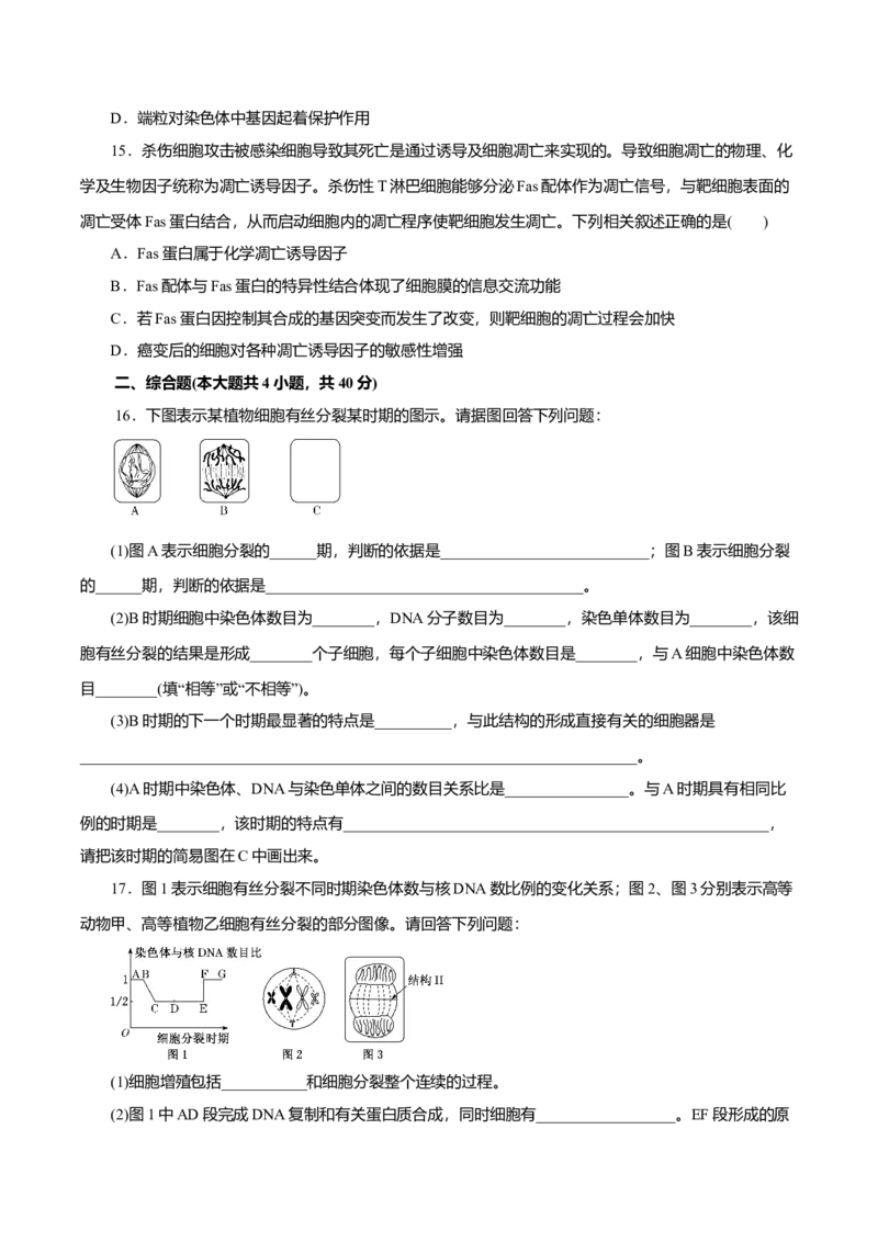 第6章细胞的生命历程B卷（原卷版）_高中九科知识点归纳。_人教版高中Word电子版试卷练习试题知识点全科_高中生物试卷习题_生物必修_必修1_人教版生物必修一单元测试（032份）