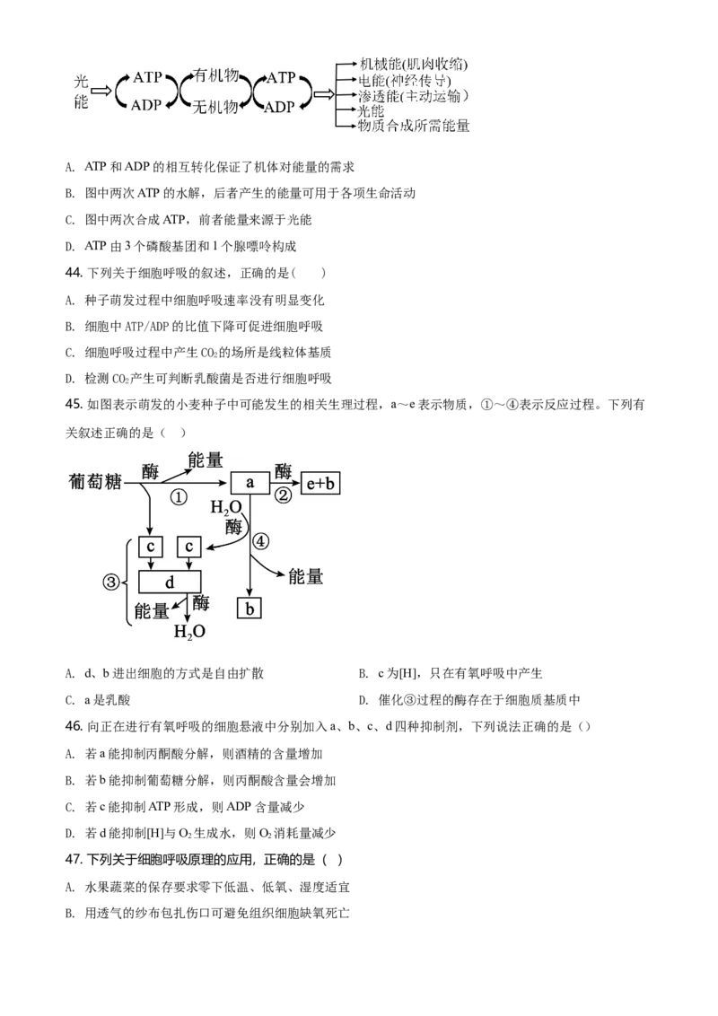 精品解析：辽宁省朝阳市建平县实验中学高一上学期期末生物试题（原卷版）_高中九科知识点归纳。_人教版高中Word电子版试卷练习试题知识点全科_高中生物试卷习题_生物必修_必修1