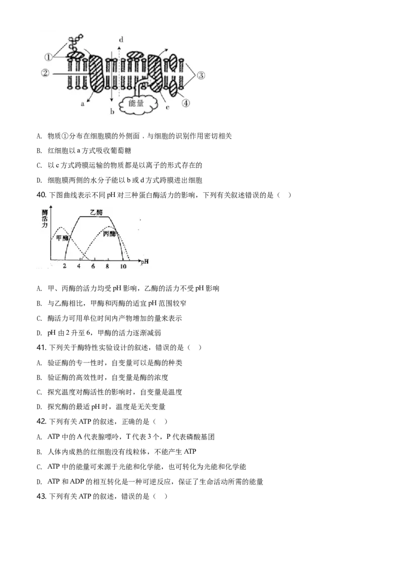 精品解析：辽宁省朝阳市建平县实验中学高一上学期期末生物试题（原卷版）_高中九科知识点归纳。_人教版高中Word电子版试卷练习试题知识点全科_高中生物试卷习题_生物必修_必修1