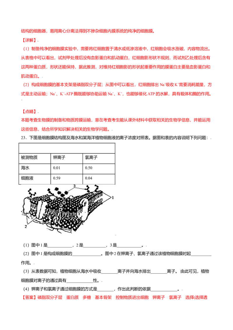 第四章章末测试-高一生物课后培优练（人教版2019必修1）（解析版）_高中九科知识点归纳。_人教版高中Word电子版试卷练习试题知识点全科_高中生物试卷习题_生物必修_必修1