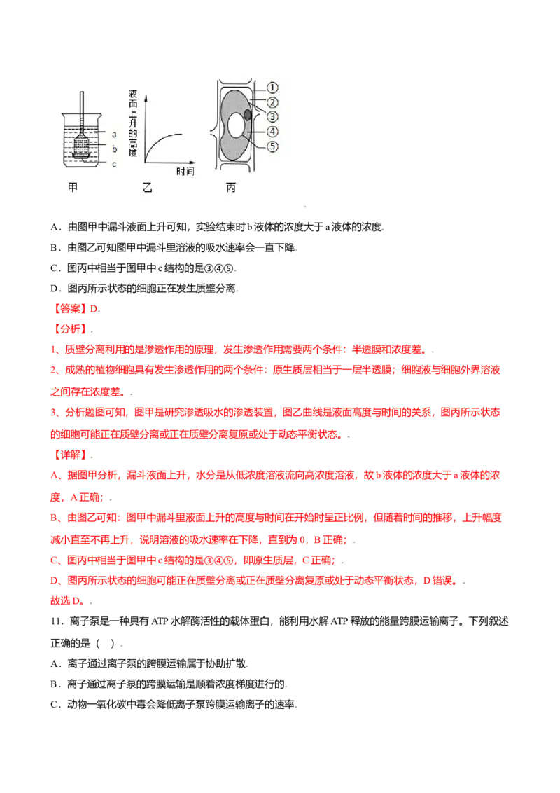 第四章章末测试-高一生物课后培优练（人教版2019必修1）（解析版）_高中九科知识点归纳。_人教版高中Word电子版试卷练习试题知识点全科_高中生物试卷习题_生物必修_必修1