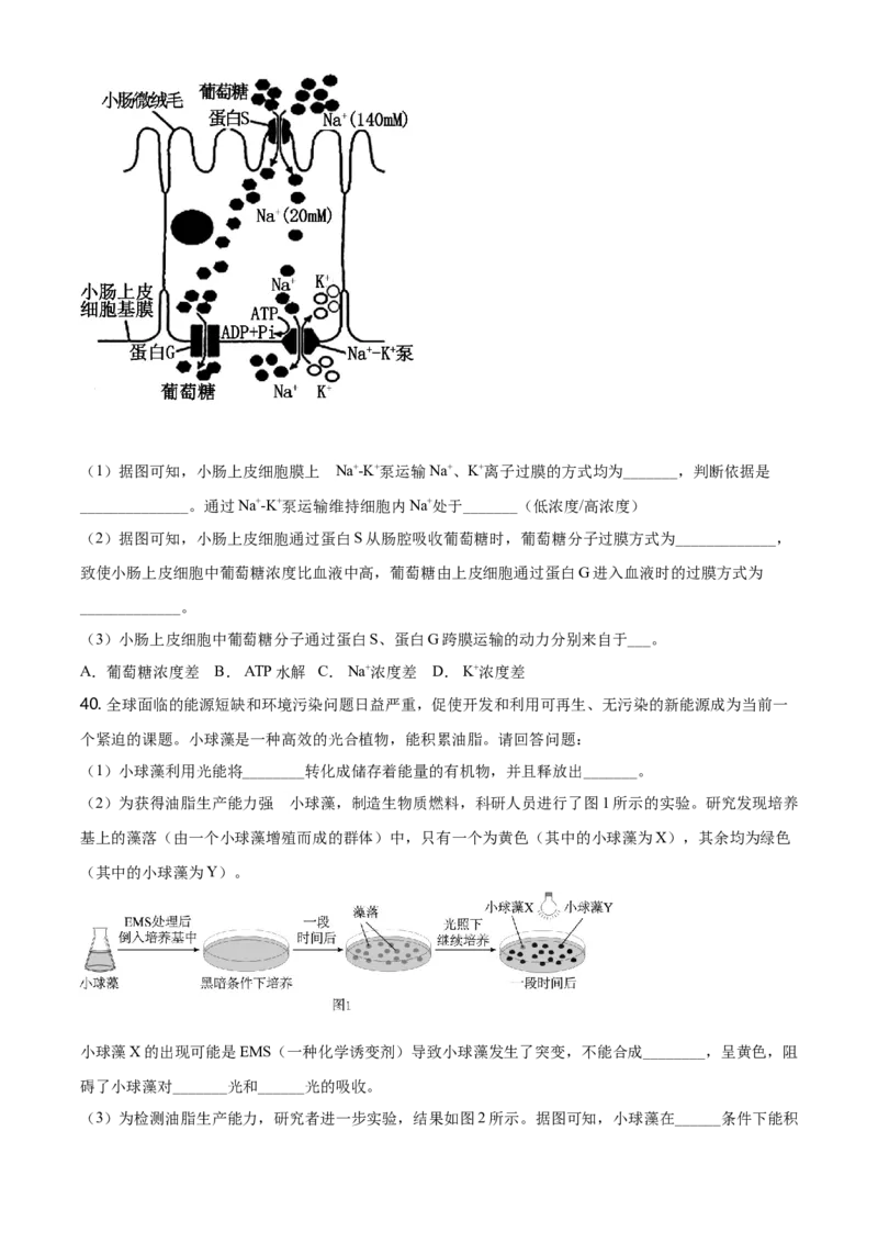 精品解析：北京丰台区高一上学期期末生物试题（原卷版）_高中九科知识点归纳。_人教版高中Word电子版试卷练习试题知识点全科_高中生物试卷习题_生物必修_必修1_2.各地真题