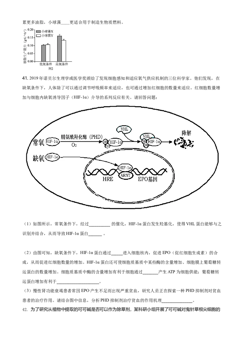 精品解析：北京丰台区高一上学期期末生物试题（原卷版）_高中九科知识点归纳。_人教版高中Word电子版试卷练习试题知识点全科_高中生物试卷习题_生物必修_必修1_2.各地真题