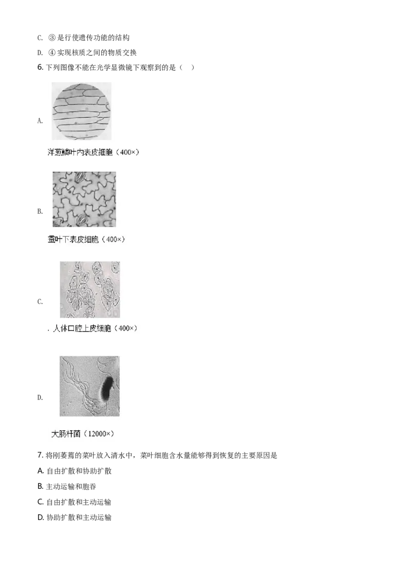 精品解析：北京丰台区高一上学期期末生物试题（原卷版）_高中九科知识点归纳。_人教版高中Word电子版试卷练习试题知识点全科_高中生物试卷习题_生物必修_必修1_2.各地真题