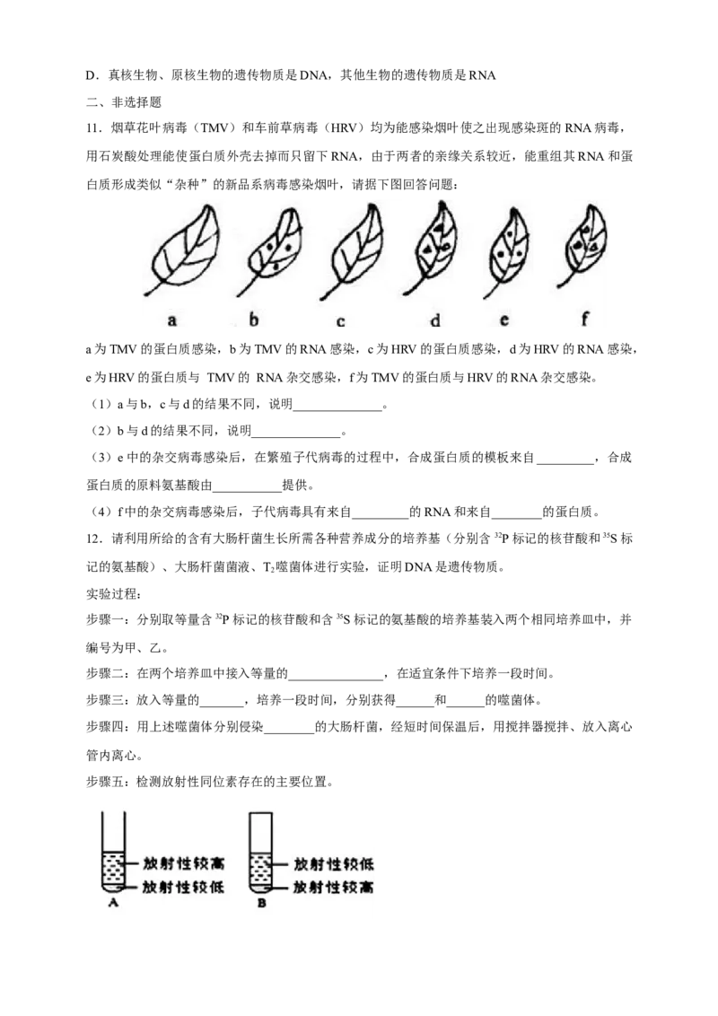 新教材精创3.1DNA是主要的遗传物质练习（2）（原卷版）_高中九科知识点归纳。_人教版高中Word电子版试卷练习试题知识点全科_高中生物试卷习题_生物必修_必修2_1、同步练习