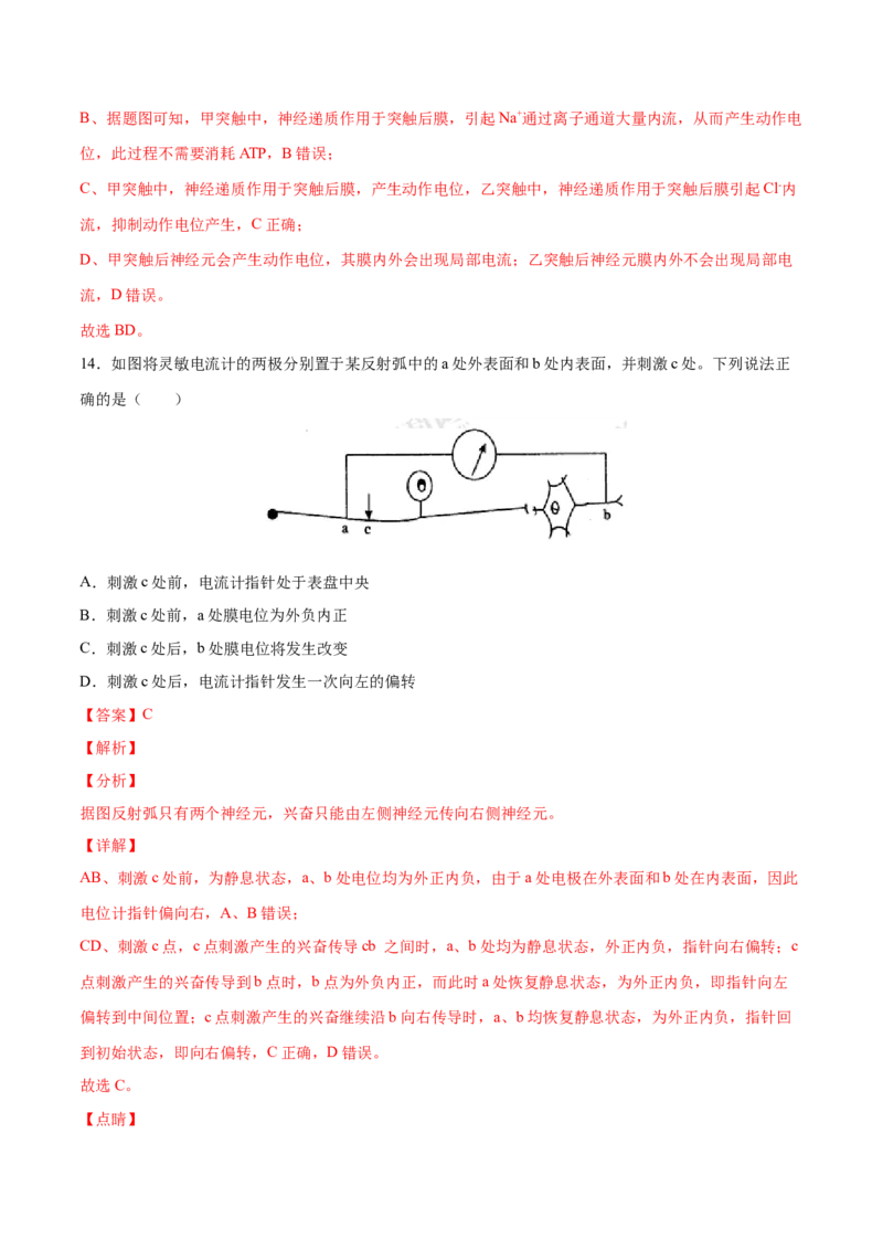 高二生物上学期期中测试卷01（人教版2019选择性必修1）（解析版）_高中九科知识点归纳。_人教版高中Word电子版试卷练习试题知识点全科_高中生物试卷习题_生物选修_选修1