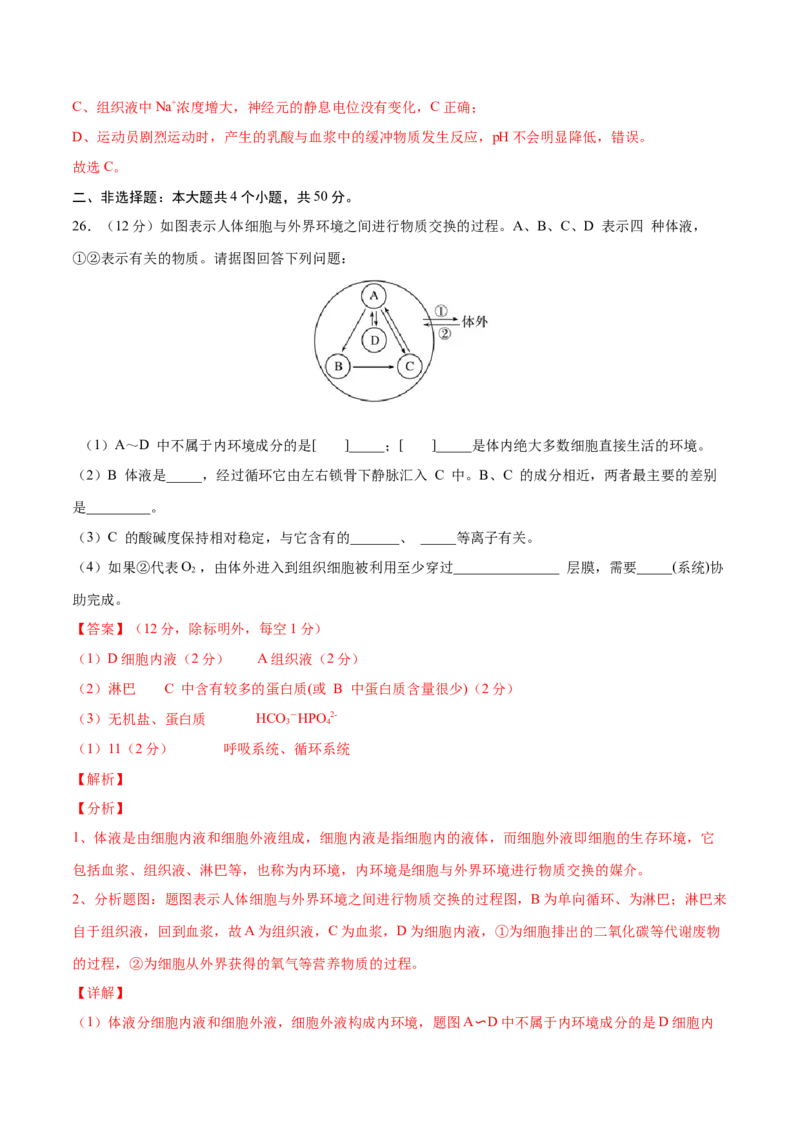 高二生物上学期期中测试卷01（人教版2019选择性必修1）（解析版）_高中九科知识点归纳。_人教版高中Word电子版试卷练习试题知识点全科_高中生物试卷习题_生物选修_选修1