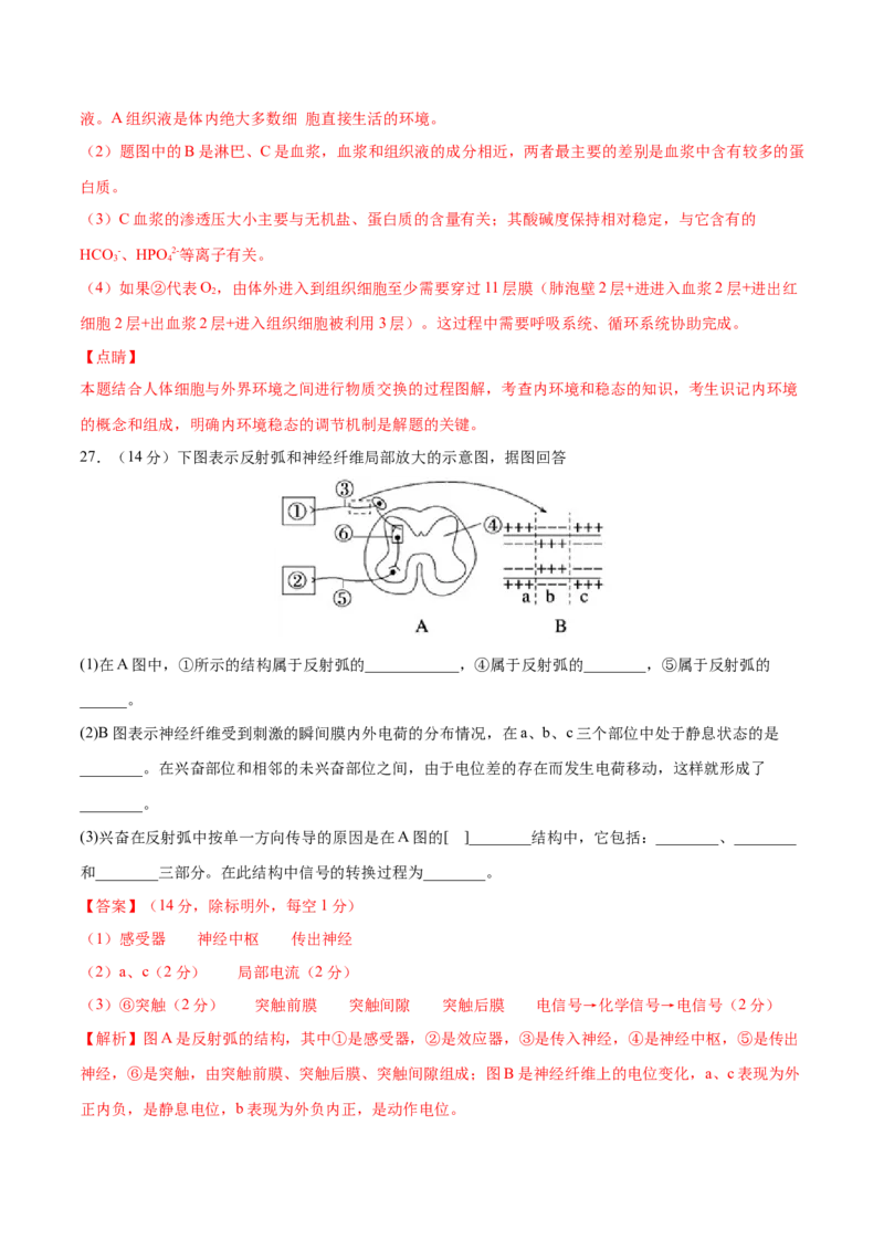 高二生物上学期期中测试卷01（人教版2019选择性必修1）（解析版）_高中九科知识点归纳。_人教版高中Word电子版试卷练习试题知识点全科_高中生物试卷习题_生物选修_选修1