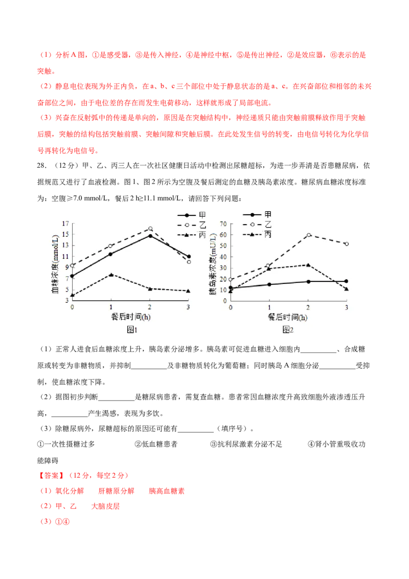 高二生物上学期期中测试卷01（人教版2019选择性必修1）（解析版）_高中九科知识点归纳。_人教版高中Word电子版试卷练习试题知识点全科_高中生物试卷习题_生物选修_选修1