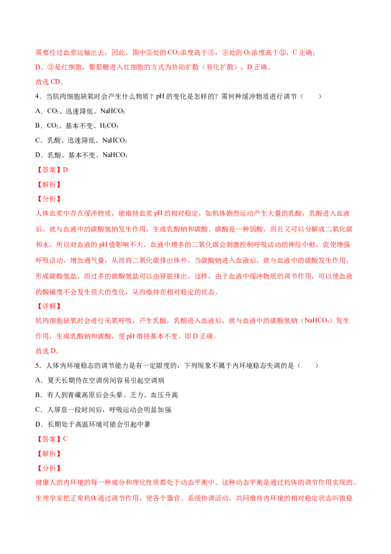 高二生物上学期期中测试卷01（人教版2019选择性必修1）（解析版）_高中九科知识点归纳。_人教版高中Word电子版试卷练习试题知识点全科_高中生物试卷习题_生物选修_选修1