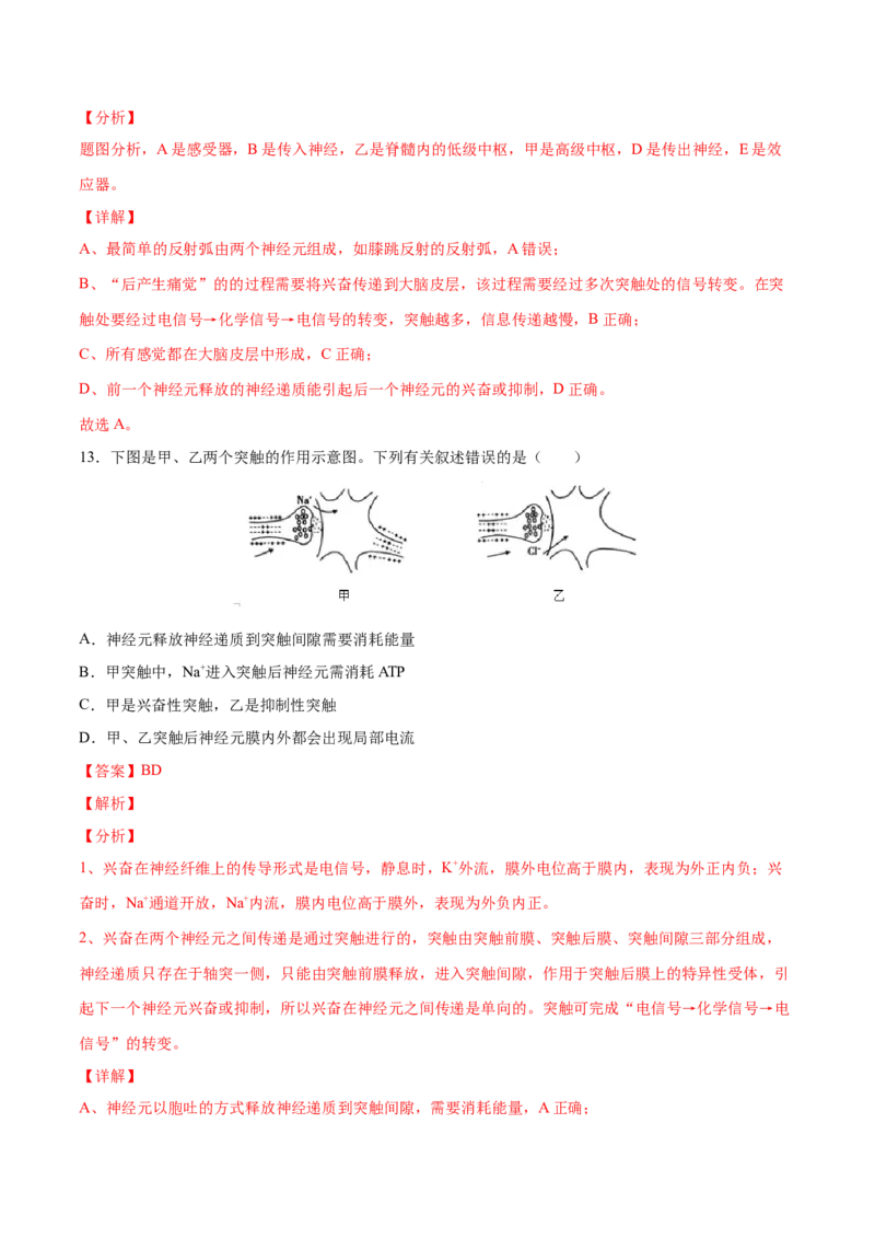 高二生物上学期期中测试卷01（人教版2019选择性必修1）（解析版）_高中九科知识点归纳。_人教版高中Word电子版试卷练习试题知识点全科_高中生物试卷习题_生物选修_选修1