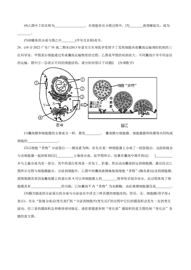 第3章细胞的基本结构（B卷&middot;能力提升练）（原卷版）_高中九科知识点归纳。_人教版高中Word电子版试卷练习试题知识点全科_高中生物试卷习题_生物必修_必修1_1.单元测试AB卷（第一套）