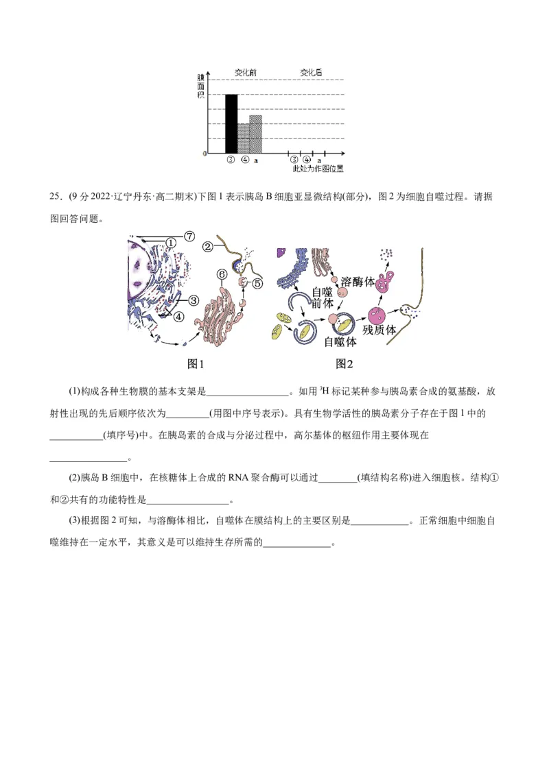 第3章细胞的基本结构（B卷&middot;能力提升练）（原卷版）_高中九科知识点归纳。_人教版高中Word电子版试卷练习试题知识点全科_高中生物试卷习题_生物必修_必修1_1.单元测试AB卷（第一套）