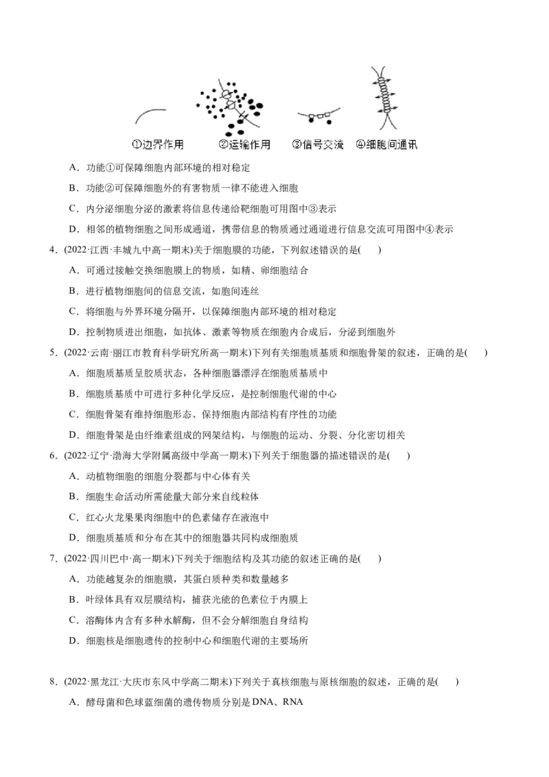 第3章细胞的基本结构（B卷&middot;能力提升练）（原卷版）_高中九科知识点归纳。_人教版高中Word电子版试卷练习试题知识点全科_高中生物试卷习题_生物必修_必修1_1.单元测试AB卷（第一套）