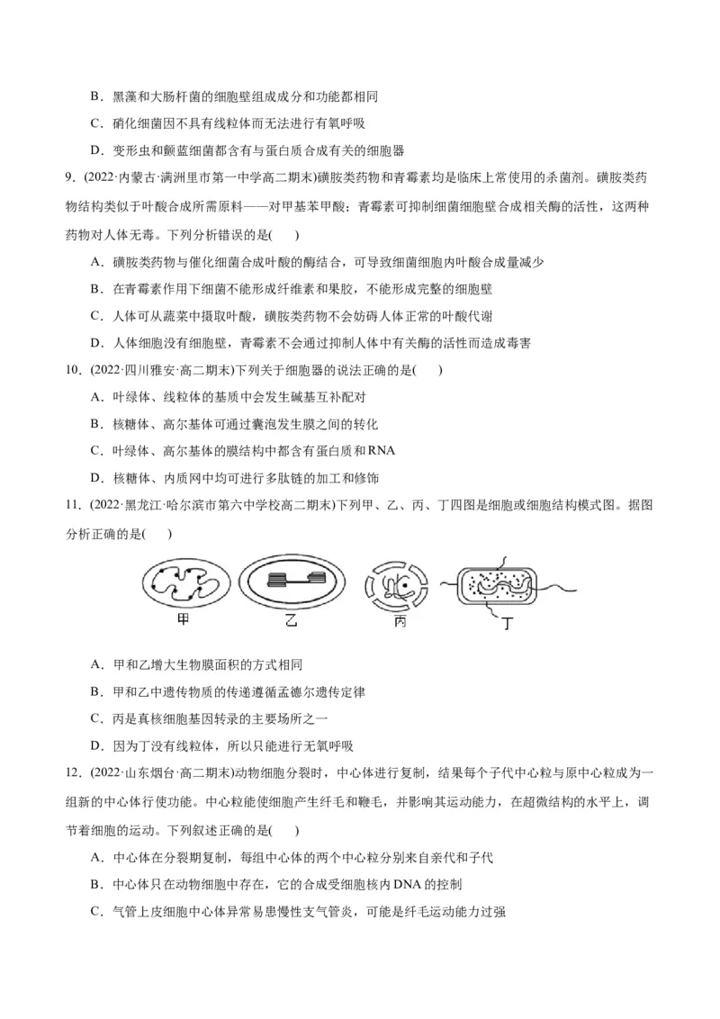 第3章细胞的基本结构（B卷&middot;能力提升练）（原卷版）_高中九科知识点归纳。_人教版高中Word电子版试卷练习试题知识点全科_高中生物试卷习题_生物必修_必修1_1.单元测试AB卷（第一套）