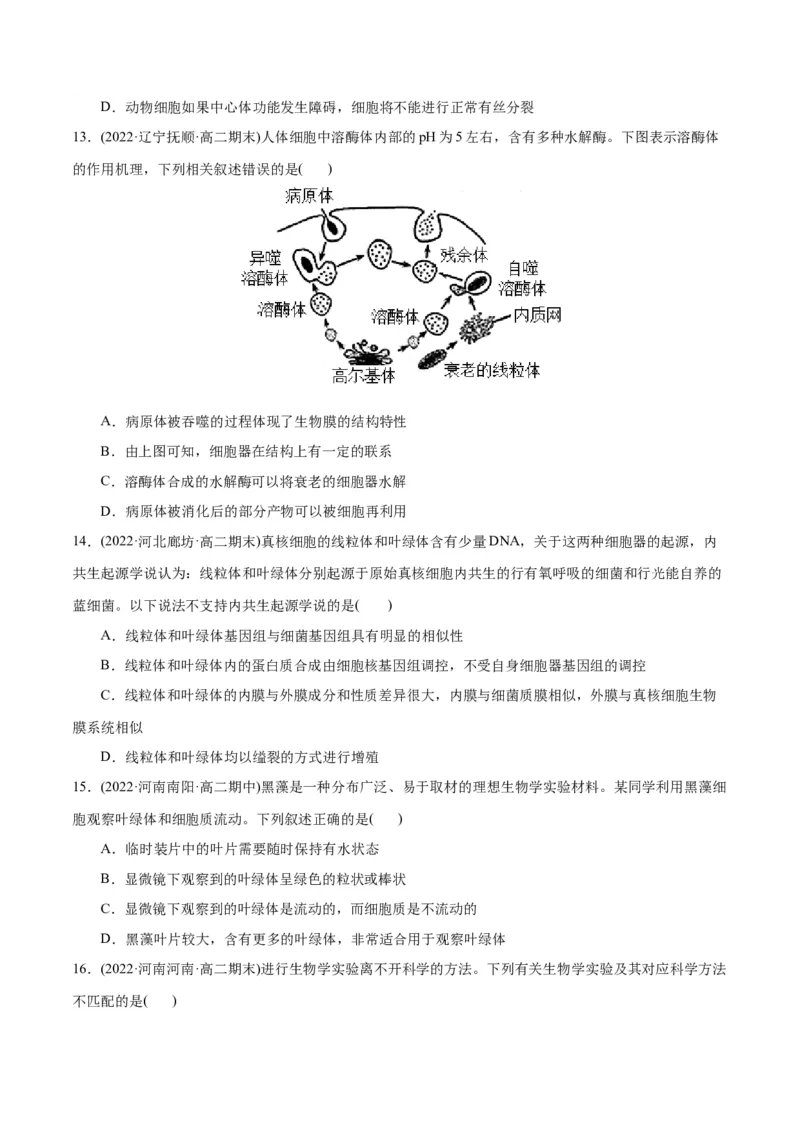 第3章细胞的基本结构（B卷&middot;能力提升练）（原卷版）_高中九科知识点归纳。_人教版高中Word电子版试卷练习试题知识点全科_高中生物试卷习题_生物必修_必修1_1.单元测试AB卷（第一套）