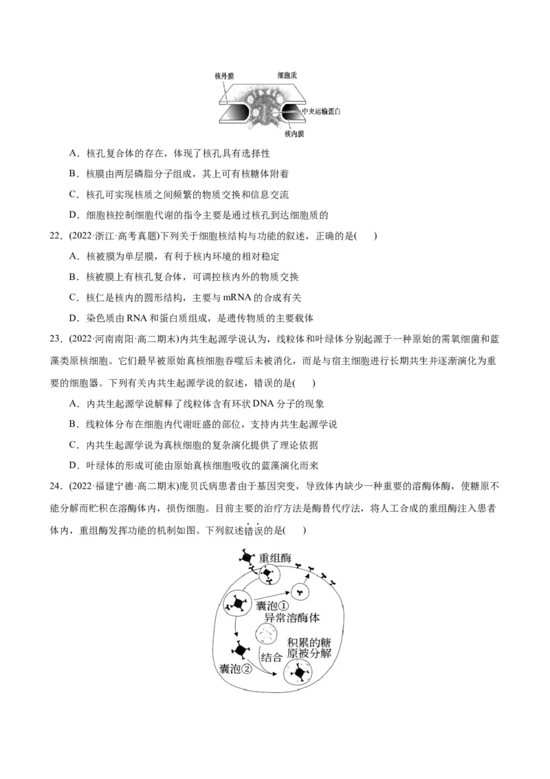 第3章细胞的基本结构（B卷&middot;能力提升练）（原卷版）_高中九科知识点归纳。_人教版高中Word电子版试卷练习试题知识点全科_高中生物试卷习题_生物必修_必修1_1.单元测试AB卷（第一套）