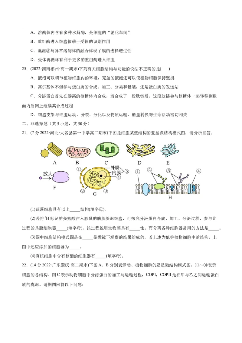 第3章细胞的基本结构（B卷&middot;能力提升练）（原卷版）_高中九科知识点归纳。_人教版高中Word电子版试卷练习试题知识点全科_高中生物试卷习题_生物必修_必修1_1.单元测试AB卷（第一套）