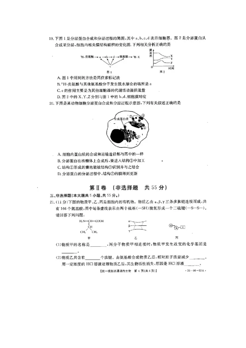 山东省济南市历城第二中学高一上学期模拟选课调考（期中）生物试题PDF版_高中九科知识点归纳。_人教版高中Word电子版试卷练习试题知识点全科_高中生物试卷习题_生物必修_必修1