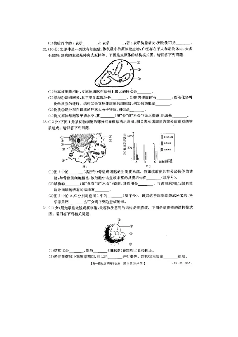 山东省济南市历城第二中学高一上学期模拟选课调考（期中）生物试题PDF版_高中九科知识点归纳。_人教版高中Word电子版试卷练习试题知识点全科_高中生物试卷习题_生物必修_必修1