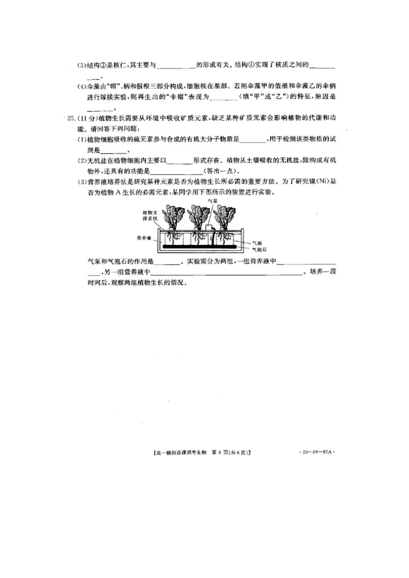 山东省济南市历城第二中学高一上学期模拟选课调考（期中）生物试题PDF版_高中九科知识点归纳。_人教版高中Word电子版试卷练习试题知识点全科_高中生物试卷习题_生物必修_必修1