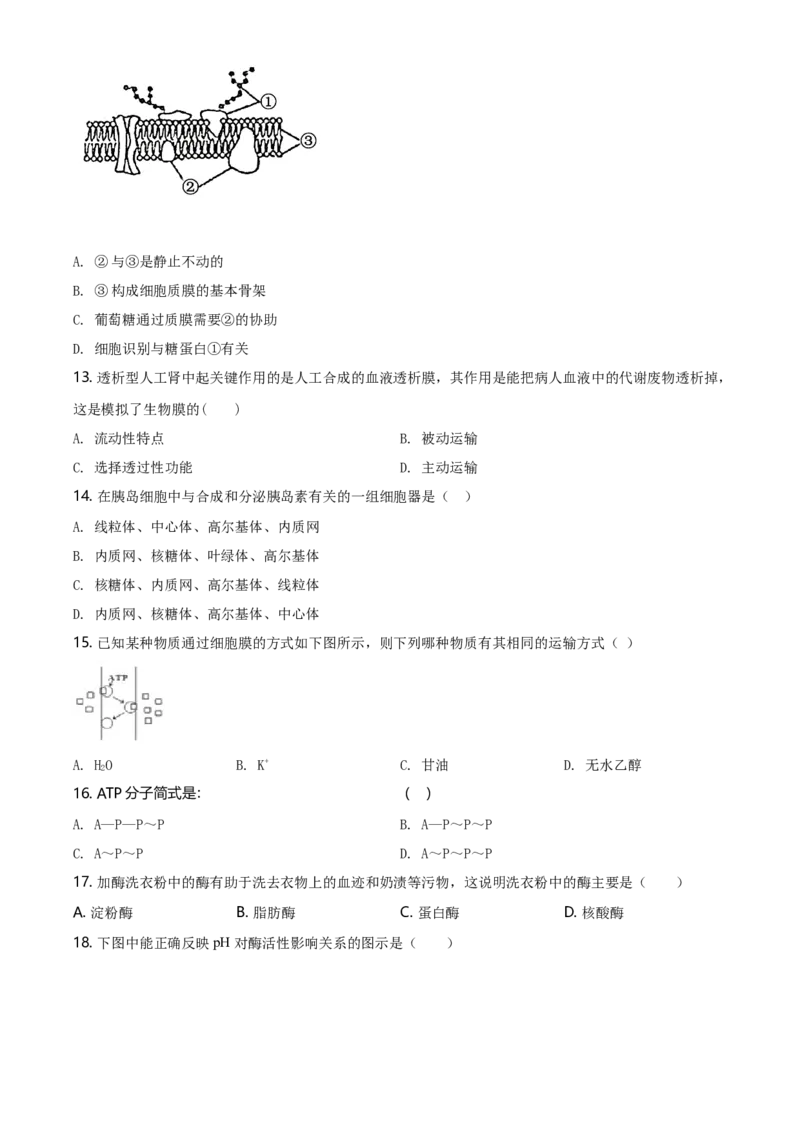 精品解析：江苏省南京市外国语学校高一上生物期末生物试题（原卷版）_高中九科知识点归纳。_人教版高中Word电子版试卷练习试题知识点全科_高中生物试卷习题_生物必修_必修1