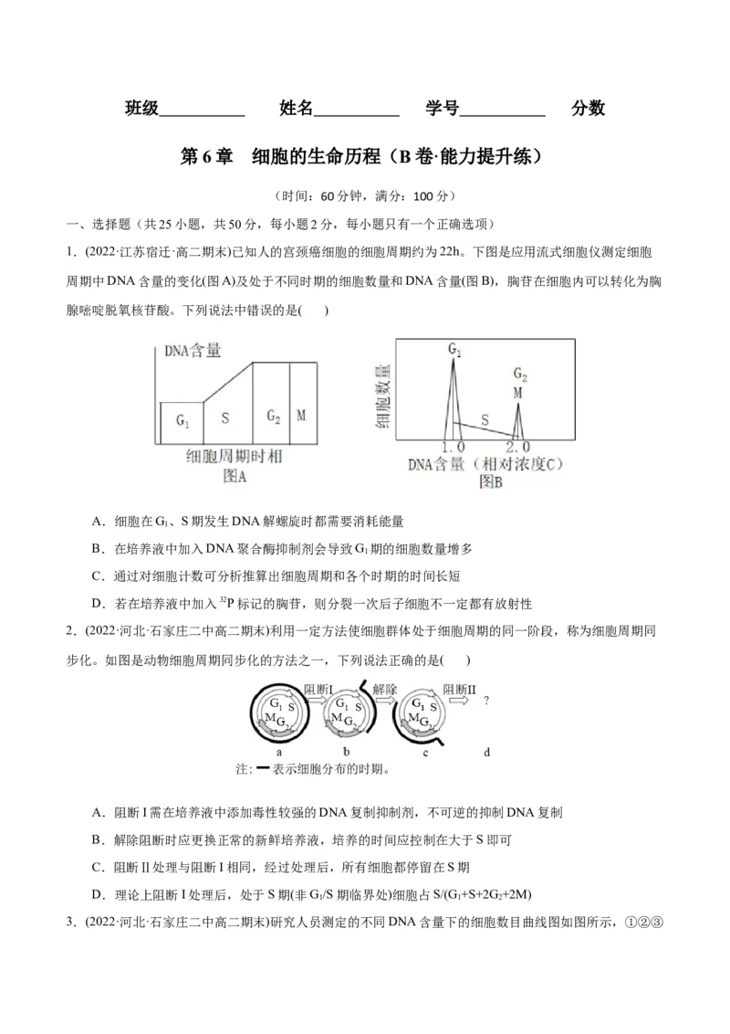 第6章细胞的生命历程（B卷&middot;能力提升练）（原卷版）_高中九科知识点归纳。_人教版高中Word电子版试卷练习试题知识点全科_高中生物试卷习题_生物必修_必修1_1.单元测试AB卷（第一套）