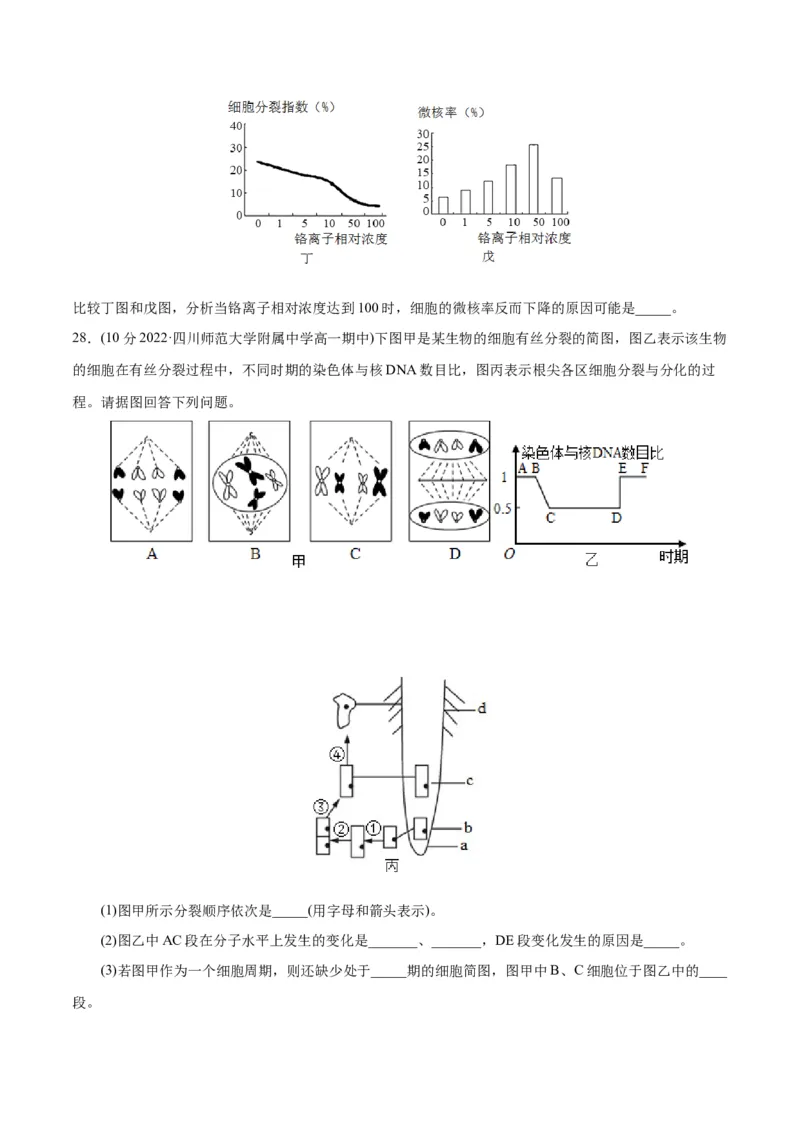 第6章细胞的生命历程（B卷&middot;能力提升练）（原卷版）_高中九科知识点归纳。_人教版高中Word电子版试卷练习试题知识点全科_高中生物试卷习题_生物必修_必修1_1.单元测试AB卷（第一套）