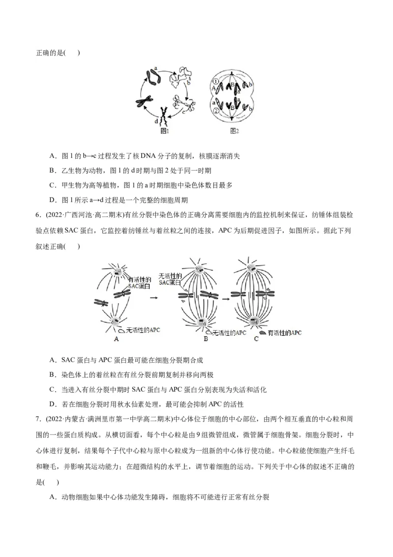 第6章细胞的生命历程（B卷&middot;能力提升练）（原卷版）_高中九科知识点归纳。_人教版高中Word电子版试卷练习试题知识点全科_高中生物试卷习题_生物必修_必修1_1.单元测试AB卷（第一套）
