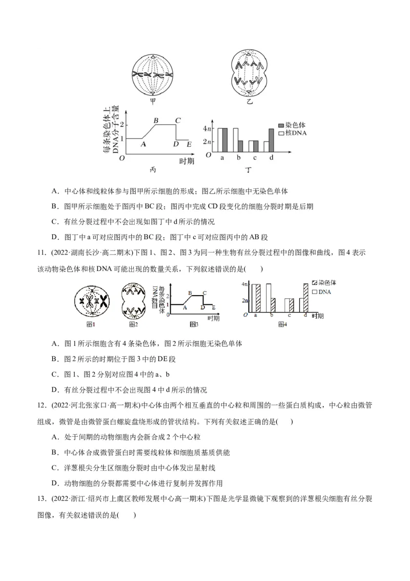 第6章细胞的生命历程（B卷&middot;能力提升练）（原卷版）_高中九科知识点归纳。_人教版高中Word电子版试卷练习试题知识点全科_高中生物试卷习题_生物必修_必修1_1.单元测试AB卷（第一套）