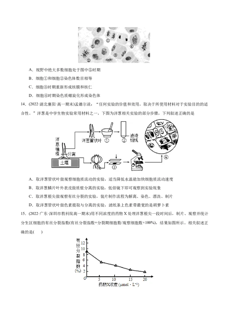 第6章细胞的生命历程（B卷&middot;能力提升练）（原卷版）_高中九科知识点归纳。_人教版高中Word电子版试卷练习试题知识点全科_高中生物试卷习题_生物必修_必修1_1.单元测试AB卷（第一套）