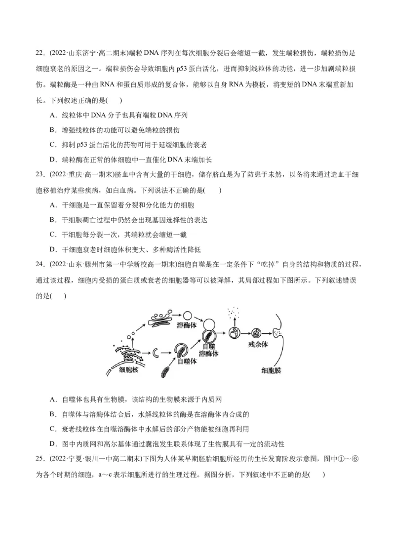 第6章细胞的生命历程（B卷&middot;能力提升练）（原卷版）_高中九科知识点归纳。_人教版高中Word电子版试卷练习试题知识点全科_高中生物试卷习题_生物必修_必修1_1.单元测试AB卷（第一套）