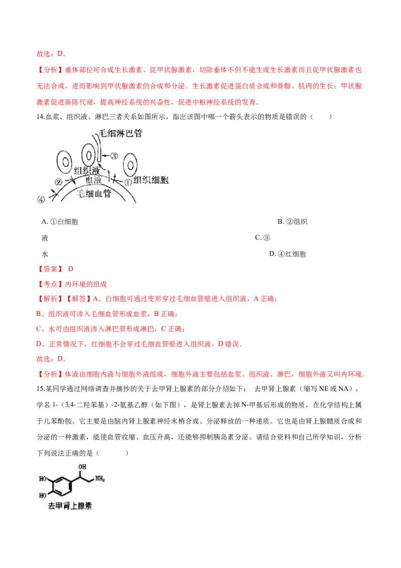 高二生物上学期期末测试卷01（人教版2019选择性必修1）（解析版）_高中九科知识点归纳。_人教版高中Word电子版试卷练习试题知识点全科_高中生物试卷习题_生物选修_选修1