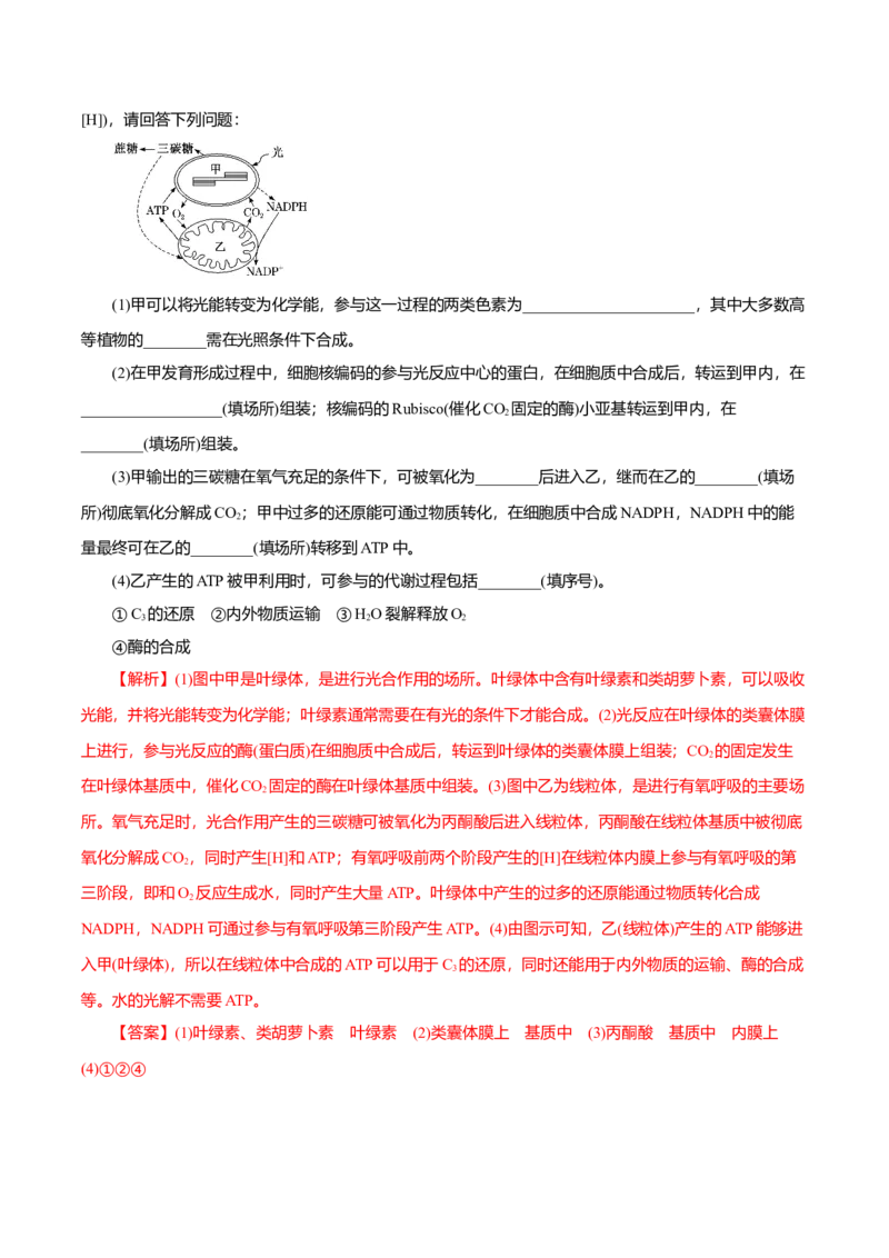 第5章细胞的能量供应和利用B卷（解析版）_高中九科知识点归纳。_人教版高中Word电子版试卷练习试题知识点全科_高中生物试卷习题_生物必修_必修1_3.单元测试（第三套）