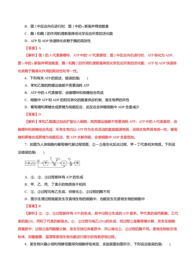 第5章细胞的能量供应和利用B卷（解析版）_高中九科知识点归纳。_人教版高中Word电子版试卷练习试题知识点全科_高中生物试卷习题_生物必修_必修1_3.单元测试（第三套）