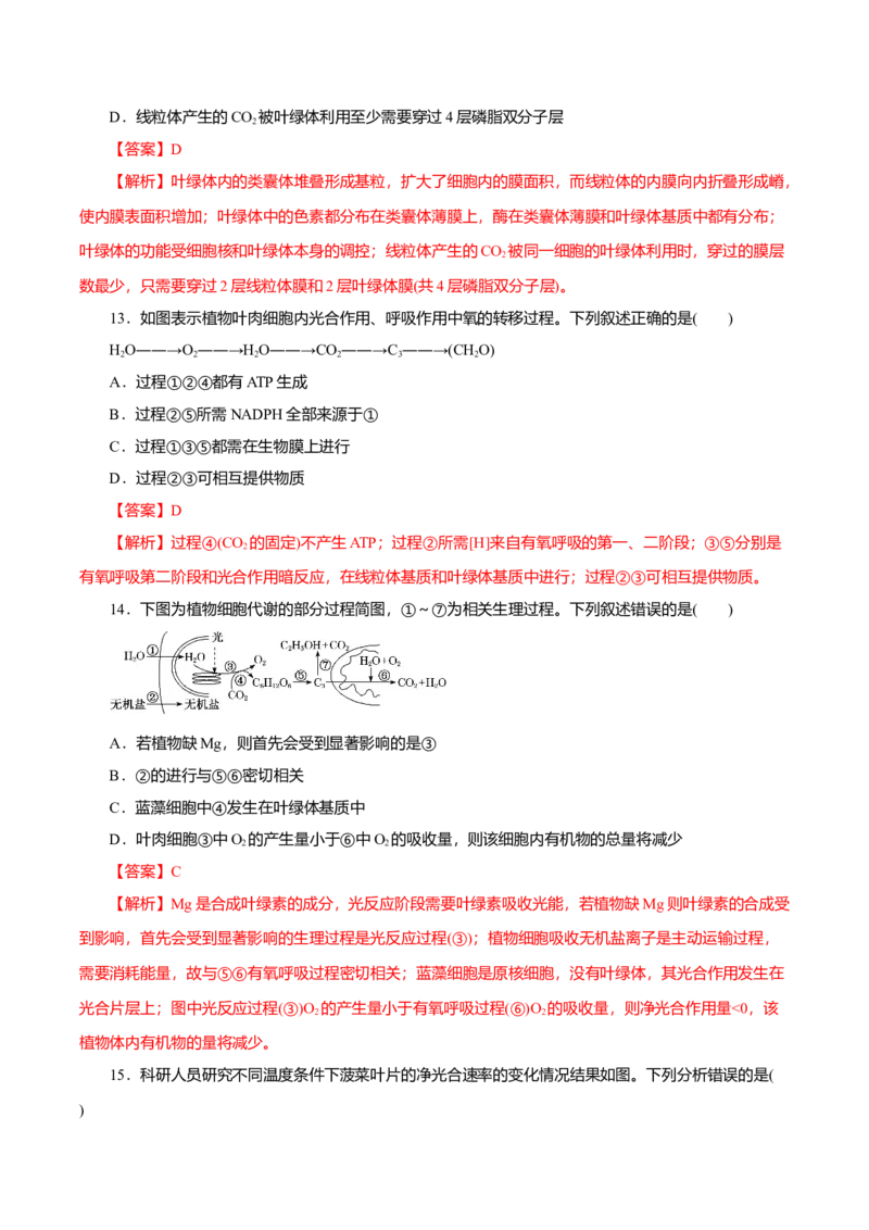 第5章细胞的能量供应和利用B卷（解析版）_高中九科知识点归纳。_人教版高中Word电子版试卷练习试题知识点全科_高中生物试卷习题_生物必修_必修1_3.单元测试（第三套）