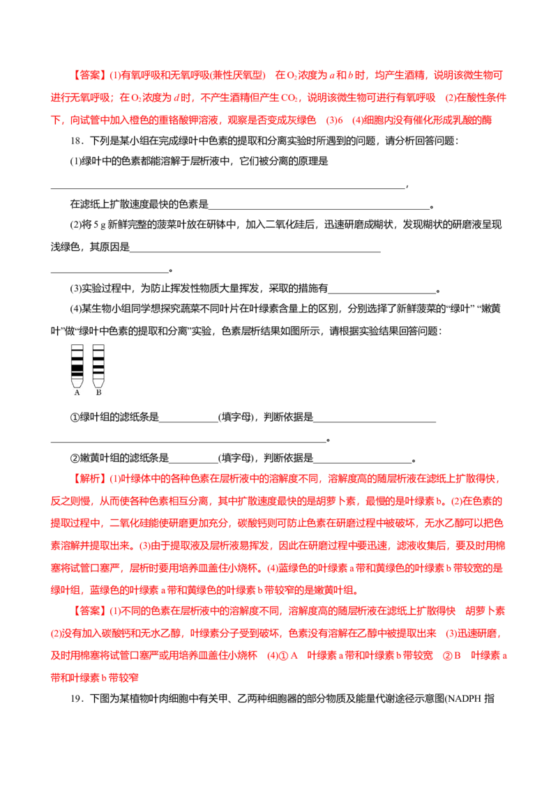 第5章细胞的能量供应和利用B卷（解析版）_高中九科知识点归纳。_人教版高中Word电子版试卷练习试题知识点全科_高中生物试卷习题_生物必修_必修1_3.单元测试（第三套）